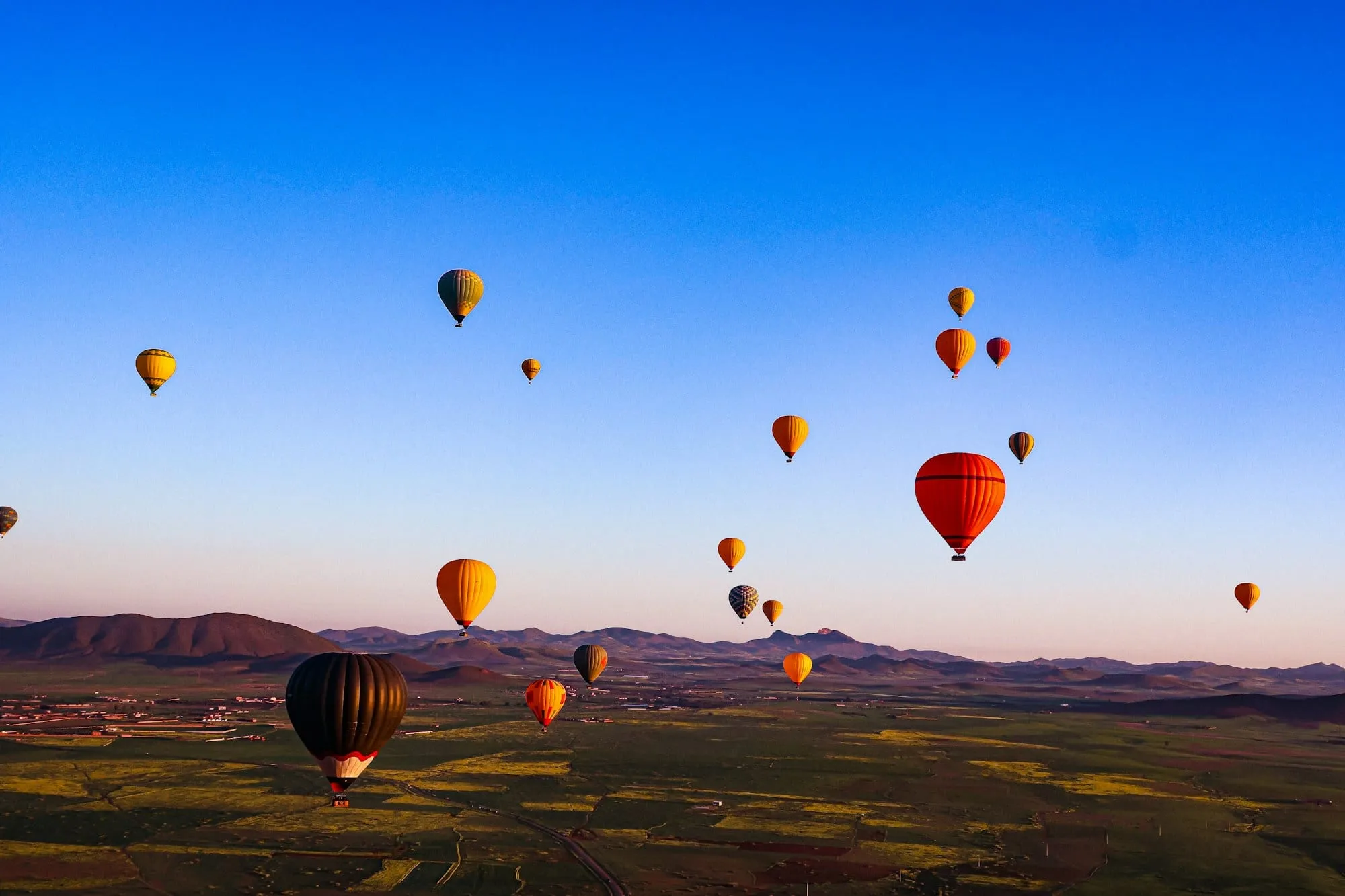 Globos aerostáticos sobre el campo al amanecer