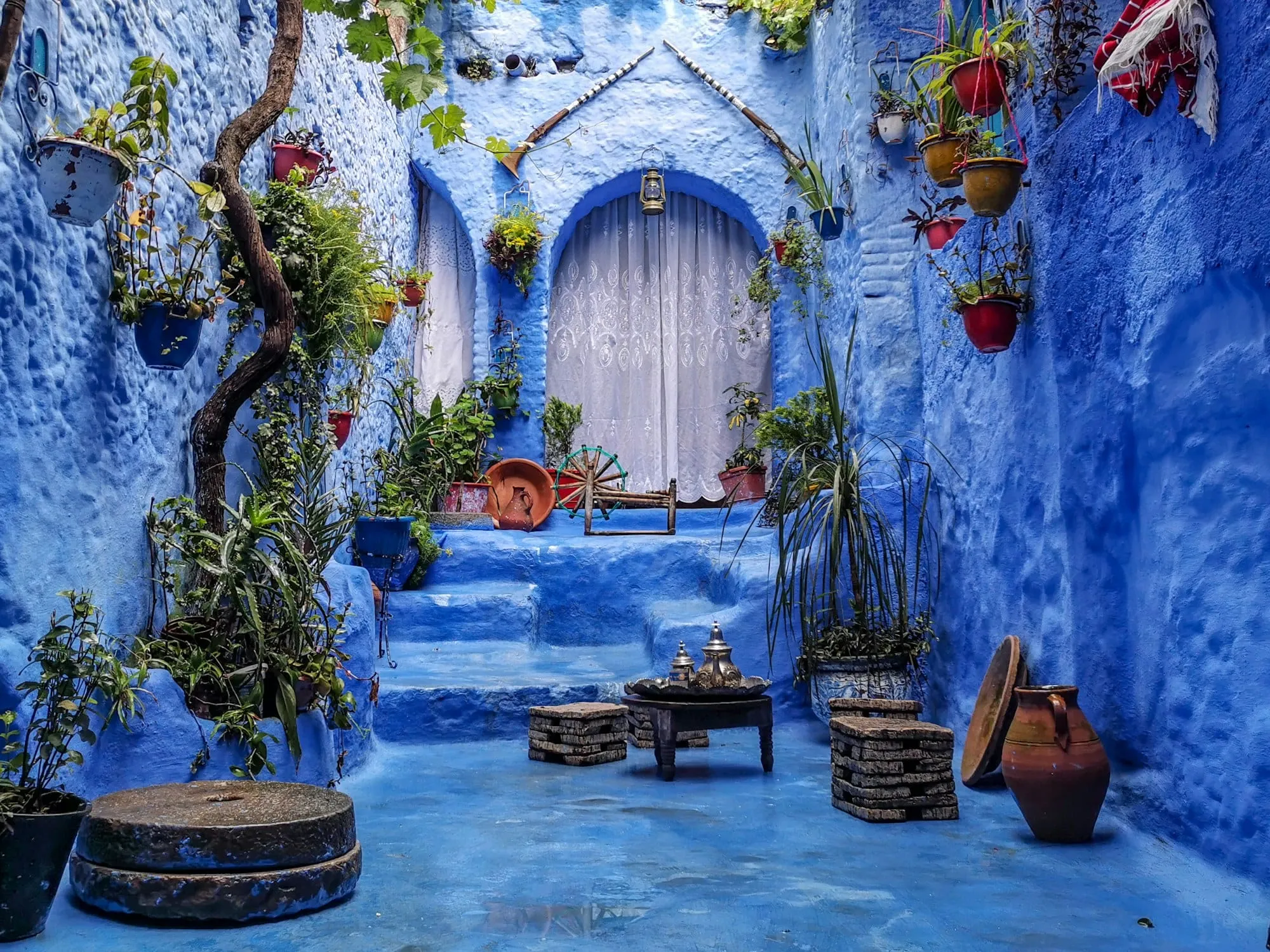 Patio azul con plantas en la medina de Chefchaouen