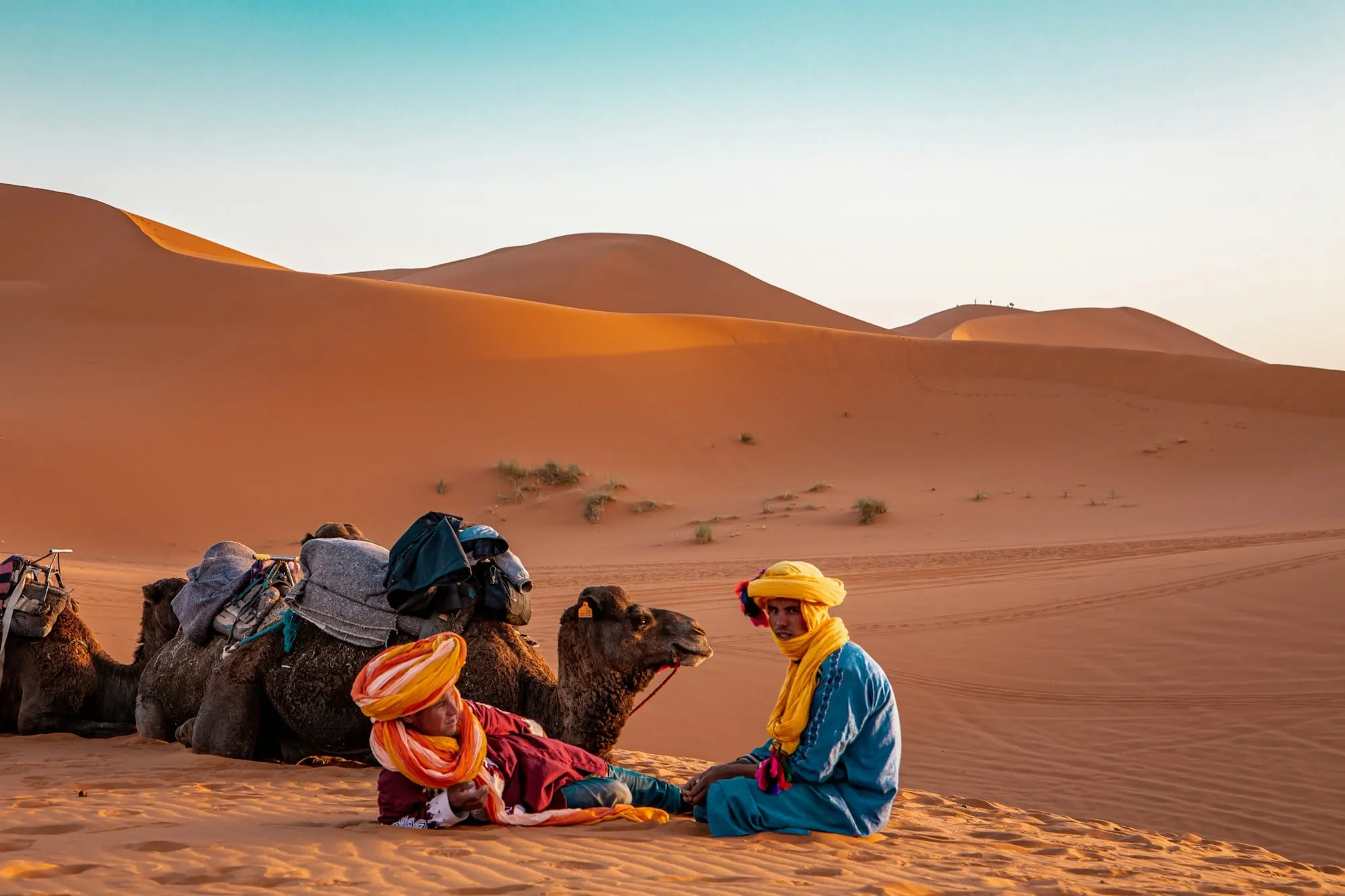 Descanso junto a los dromedarios en las dunas del desierto