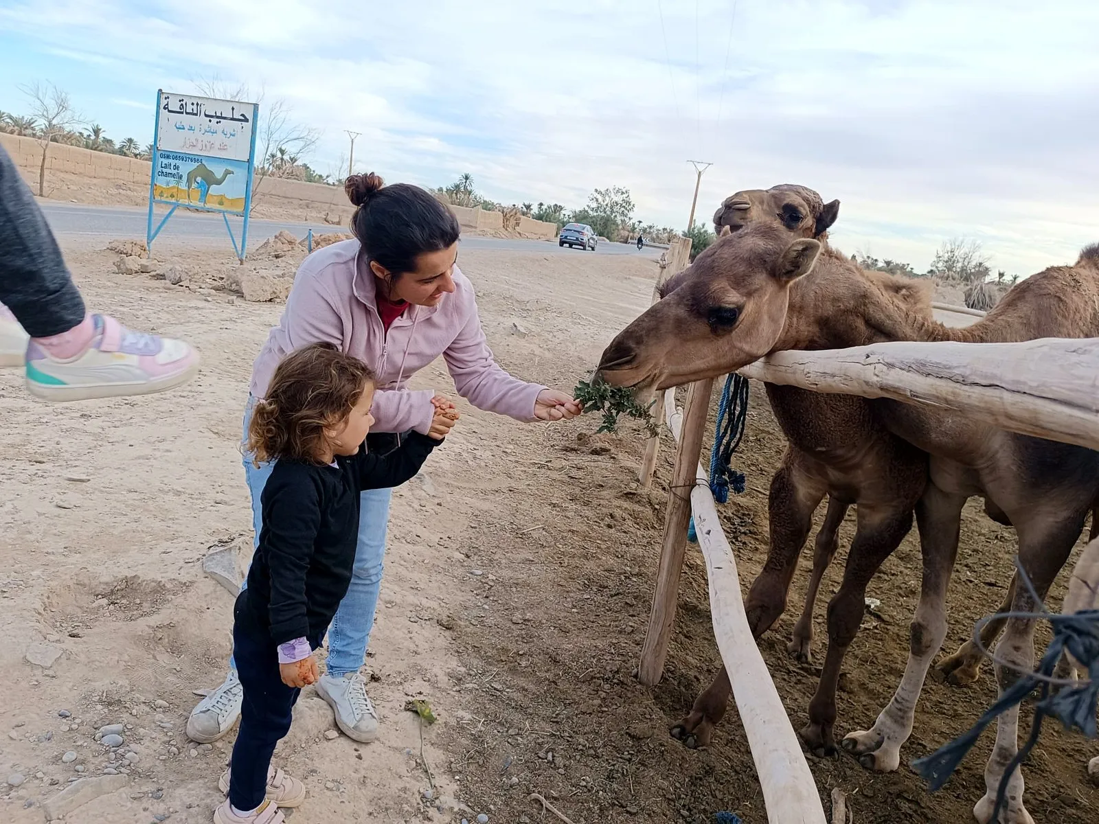 Una madre y su hija dando de comer a un dromedario, en el viaje de otro año