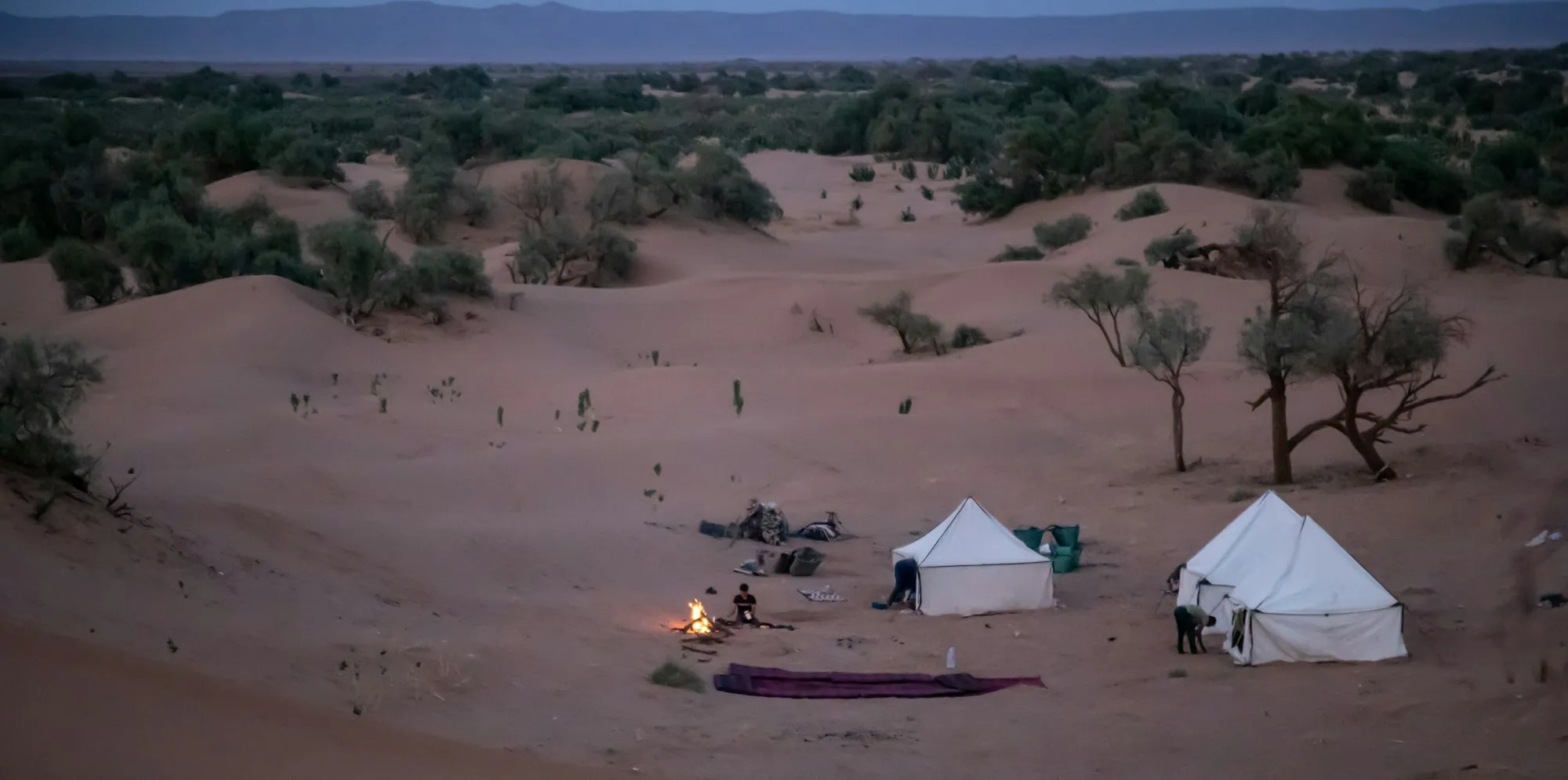 Campamento de haimas en el desierto al anochecer