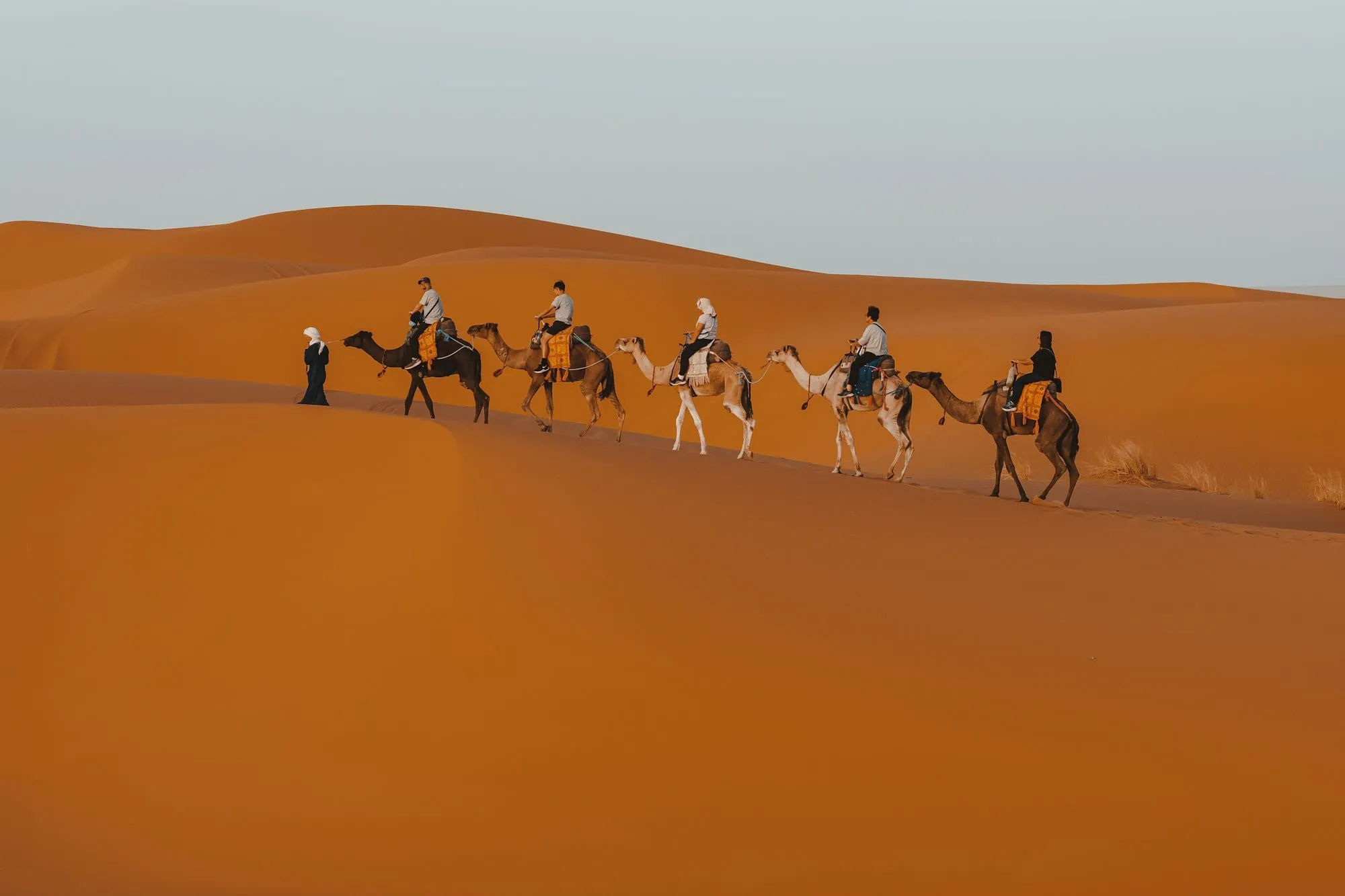 Grupo de viajeros en dromedario por las dunas